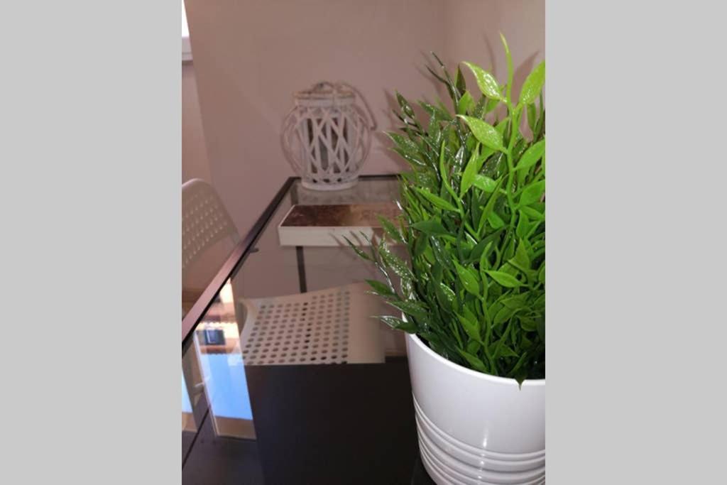Trastevere House Apartman Róma Kültér fotó